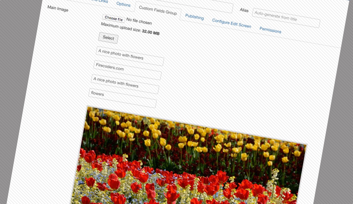 Econa Joomla! Custom Fields
