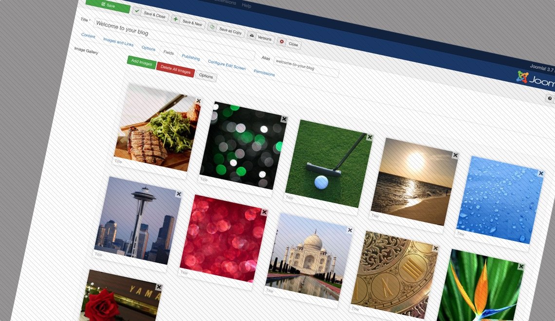 Showtime Image Gallery Joomla! Custom Fields