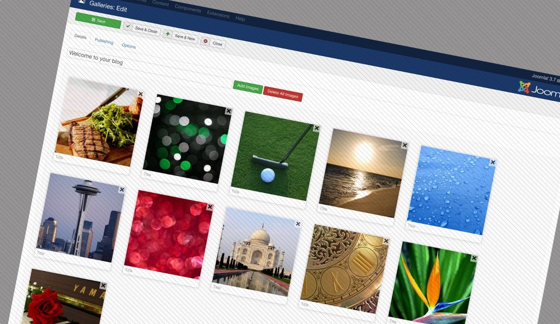 Showtime Image Gallery Standalone Mode