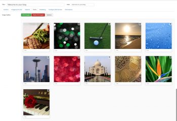 Showtime Joomla Gallery - Joomla! Custom Fields