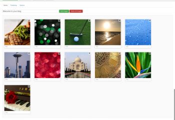 Showtime Joomla Gallery - Edit Gallery