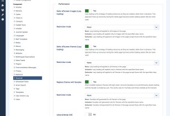Options: Performance - Route 66 for Joomla