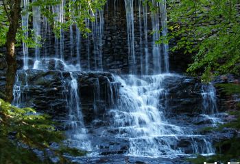 Lorem ipsum dolor sit amet, consectetur adipiscing elit