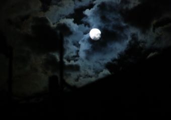 file8081258144701.jpg