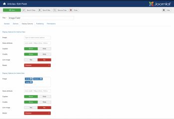 econa-image-custom-field-display-options